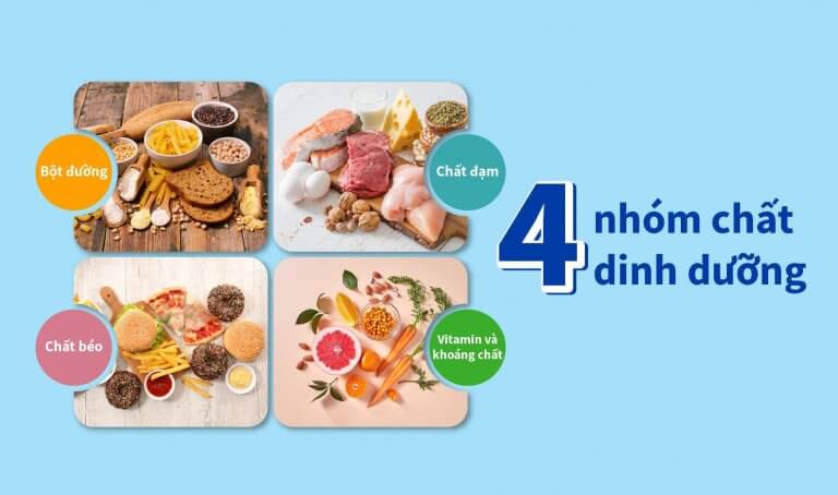 toán tư duy 4 nhóm dinh dưỡng tốt cho trẻ